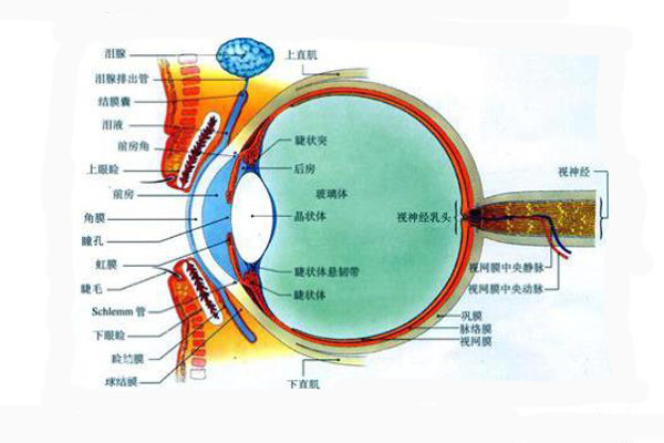 顏色是怎么被人眼感知的？顏色怎么表示與復現(xiàn)？